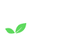 Collect Viridis Kft.